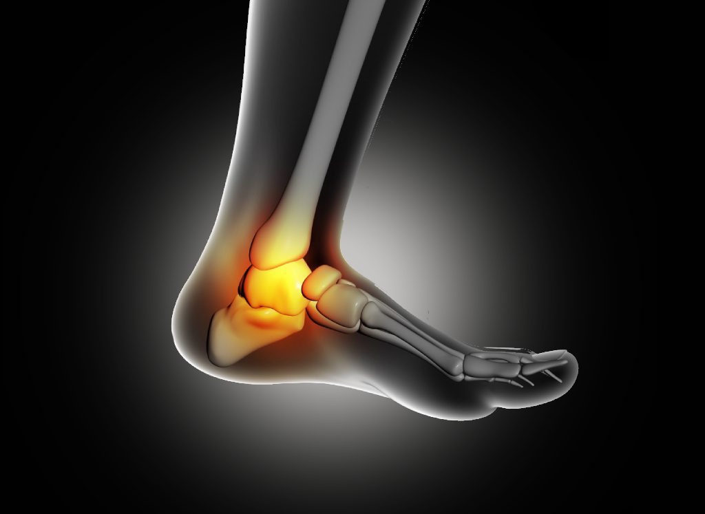 Ankle joint images